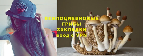 экстази Алексеевка