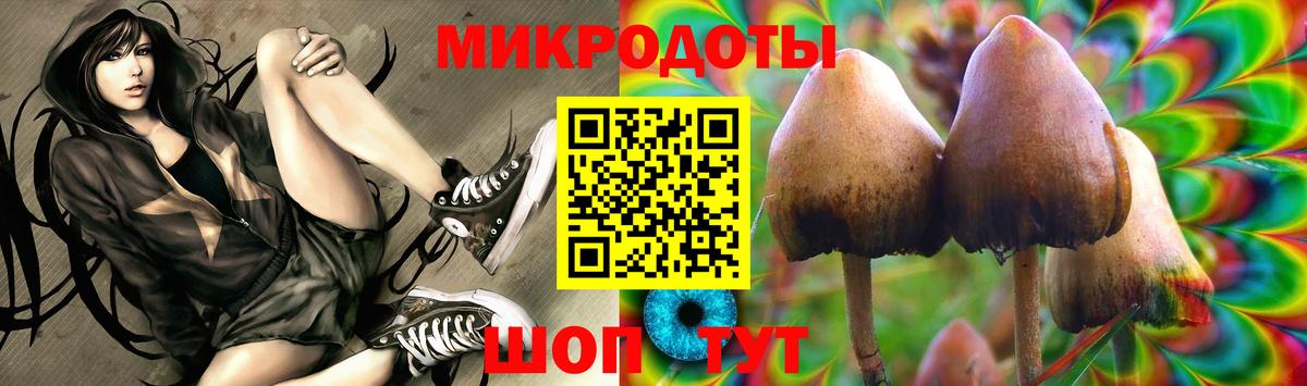 Галлюциногенные грибы GOLDEN TEACHER  Вход с VPN  где купить   Электрогорск  Псилоцибиновые грибы Cubensis 